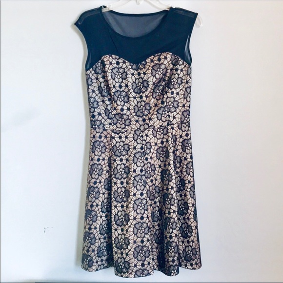 Enfocus Studio Dresses & Skirts - Enfocus Studio Dark Blue and Lace detail dress
